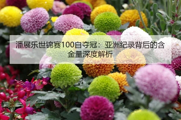 潘展乐世锦赛100自夺冠：亚洲纪录背后的含金量深度解析