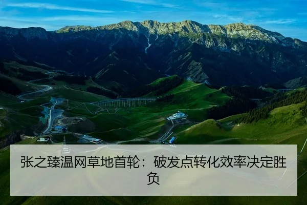 zhang-zhi-zhen-wen-wang-cao-di-shou-lun-po-fa-dian-zhuan-hua-xiao-lv-jue-ding-sheng-fu-2-303.jpg
